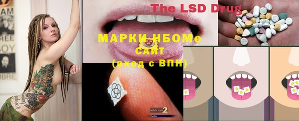 ПСИЛОЦИБИНОВЫЕ ГРИБЫ Няндома