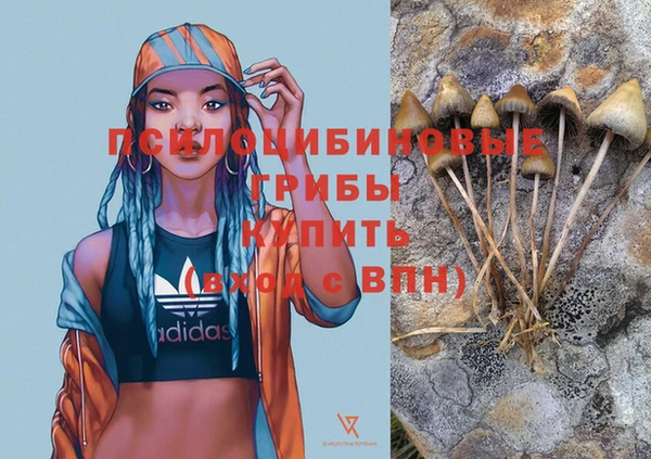 ПСИЛОЦИБИНОВЫЕ ГРИБЫ Няндома
