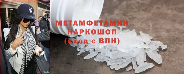 ПСИЛОЦИБИНОВЫЕ ГРИБЫ Няндома