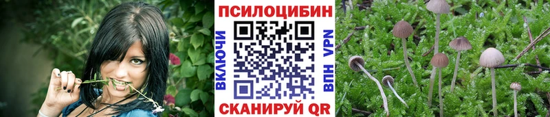 нарко площадка Telegram  Курганинск  Псилоцибиновые грибы Psilocybe 