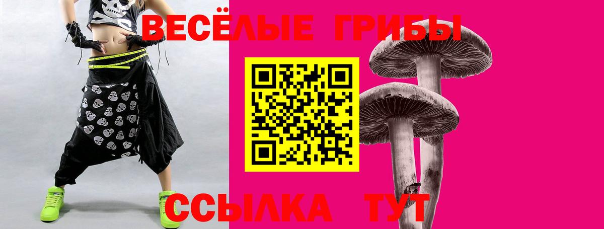Галлюциногенные грибы GOLDEN TEACHER  Вход с VPN  Курганинск  Галлюциногенные грибы MAGIC MUSHROOMS 