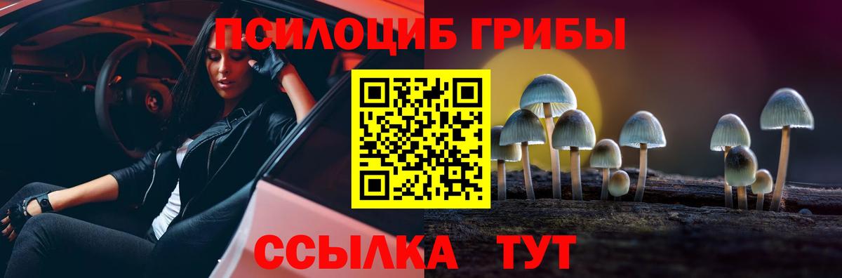 Галлюциногенные грибы мухоморы  что такое   Курганинск 